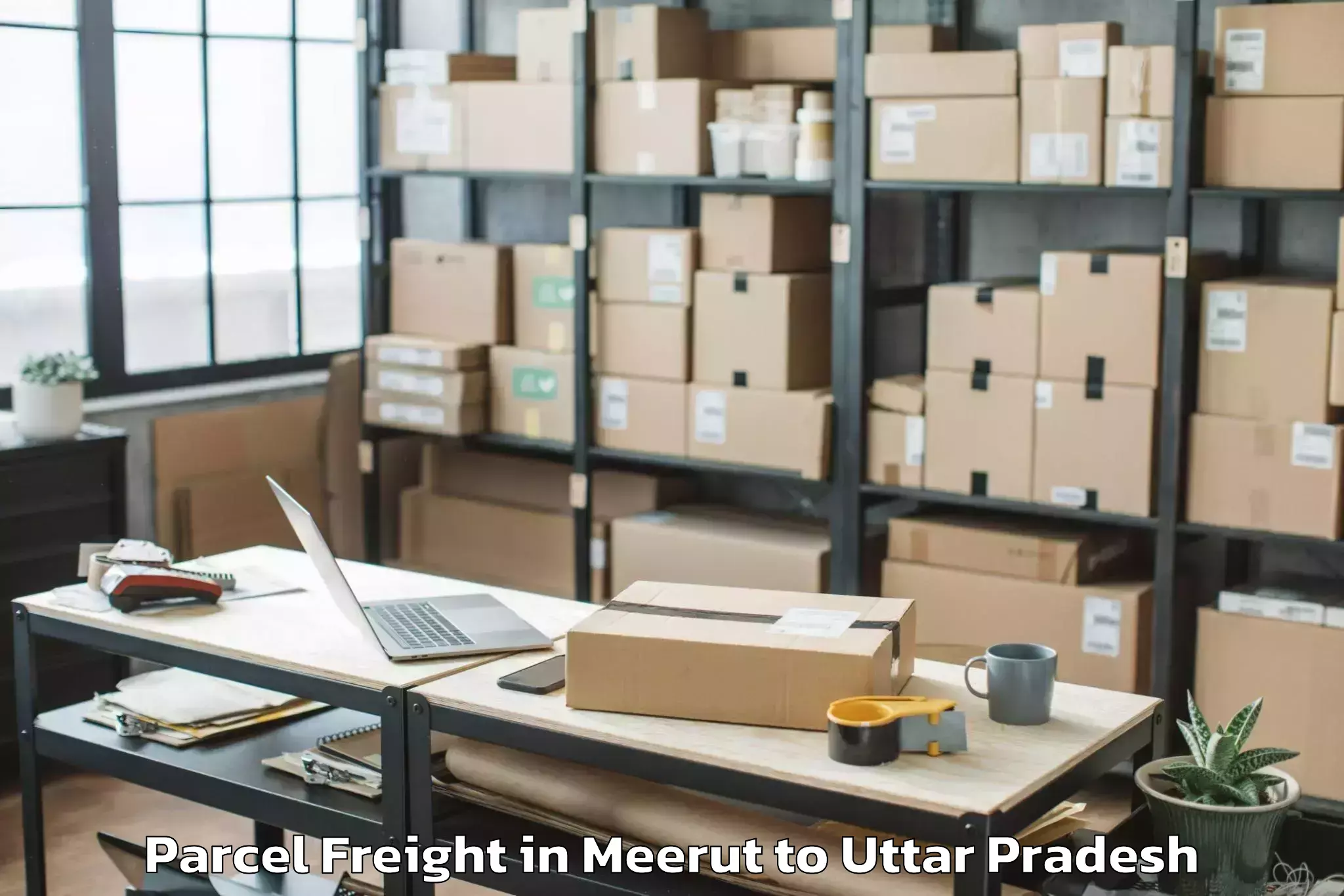 Affordable Meerut to Bilhaur Parcel Freight